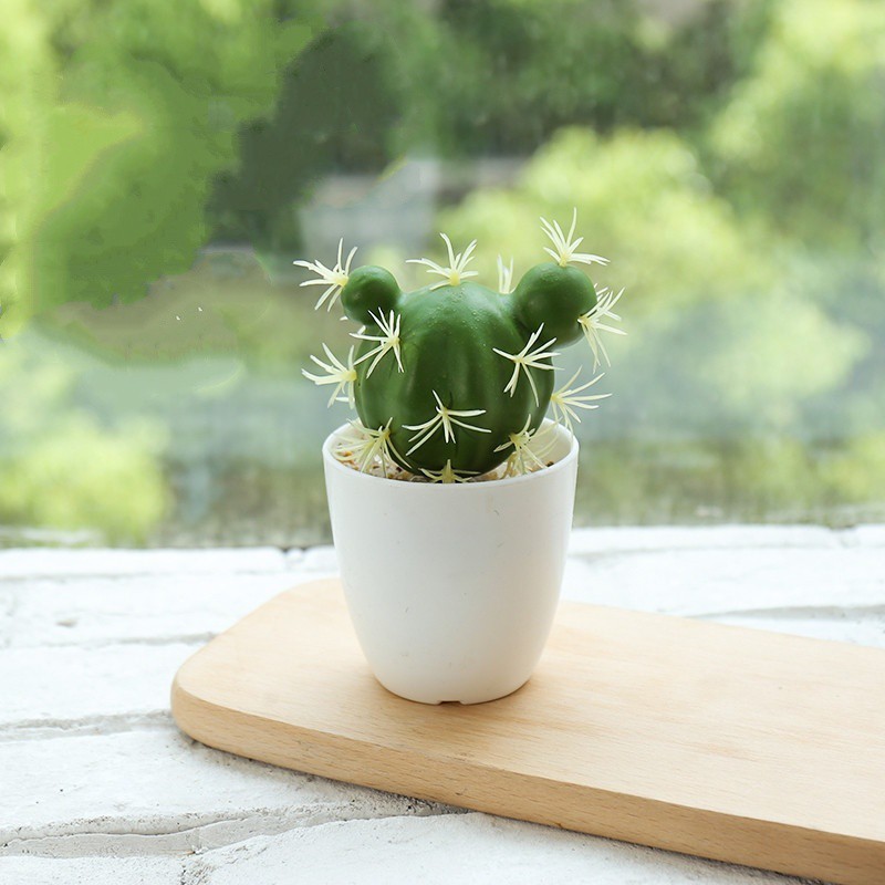 Kunataruma Kaktus Jumbo Mini