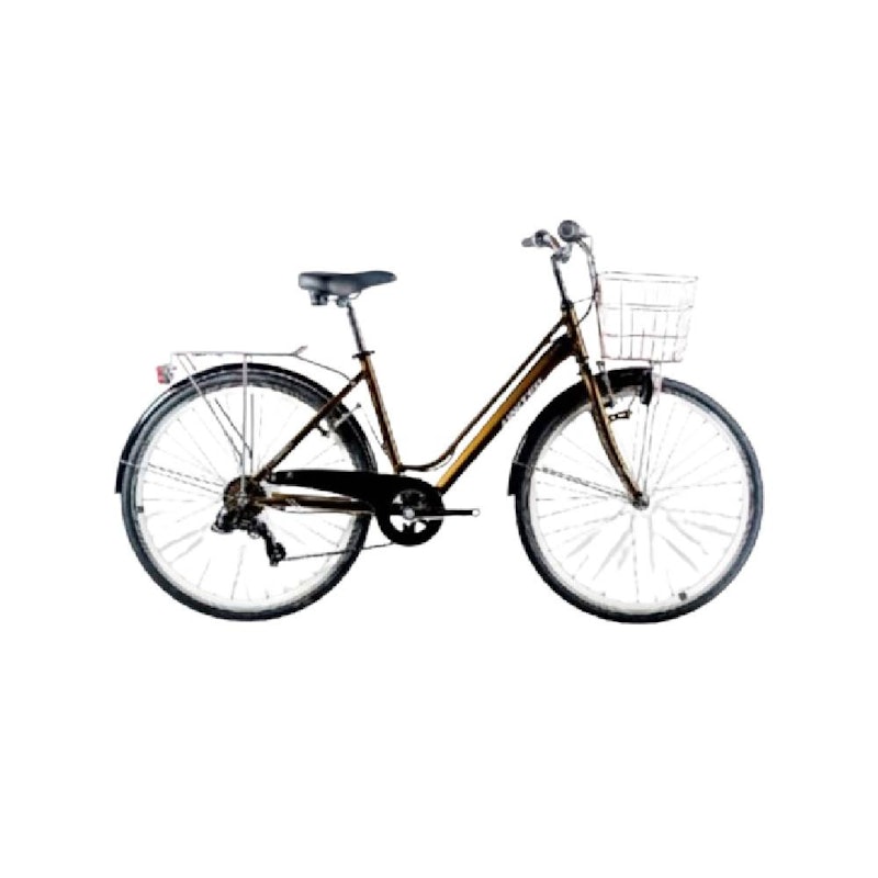 United City Bike 26 Inch 1