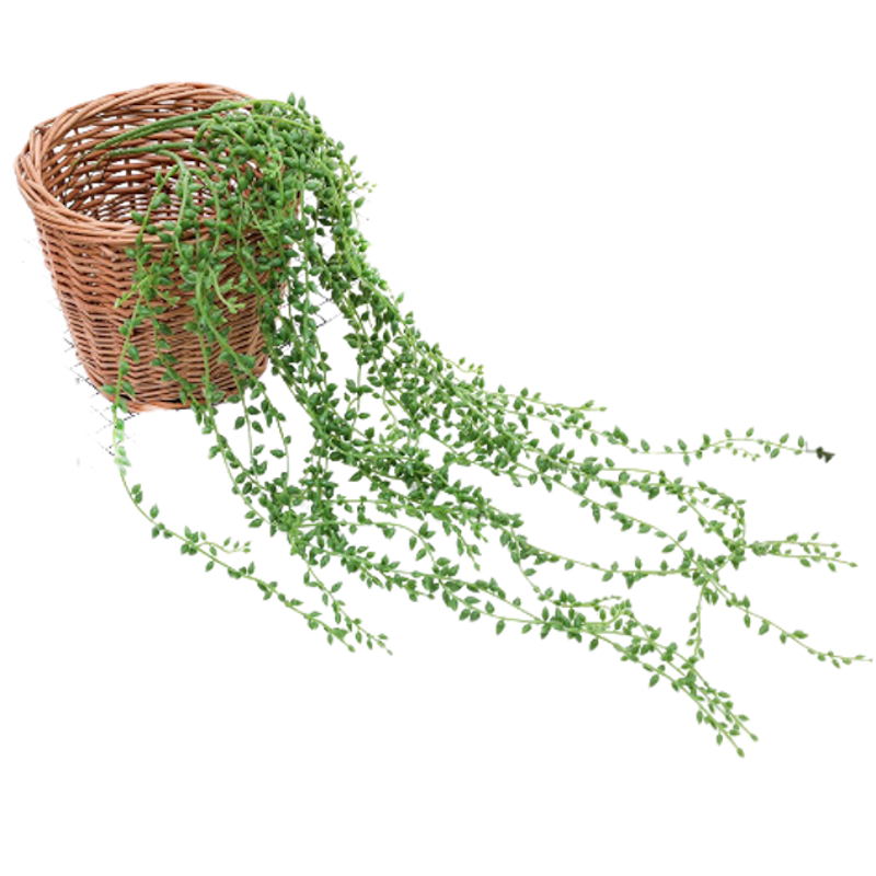 Daun Rambat Plastik Aglonema 1