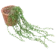 Kunataruma Daun Rambat Plastik Aglonema 1