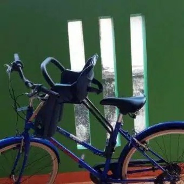 Exotic Bicycle Child Carrier ET-G552