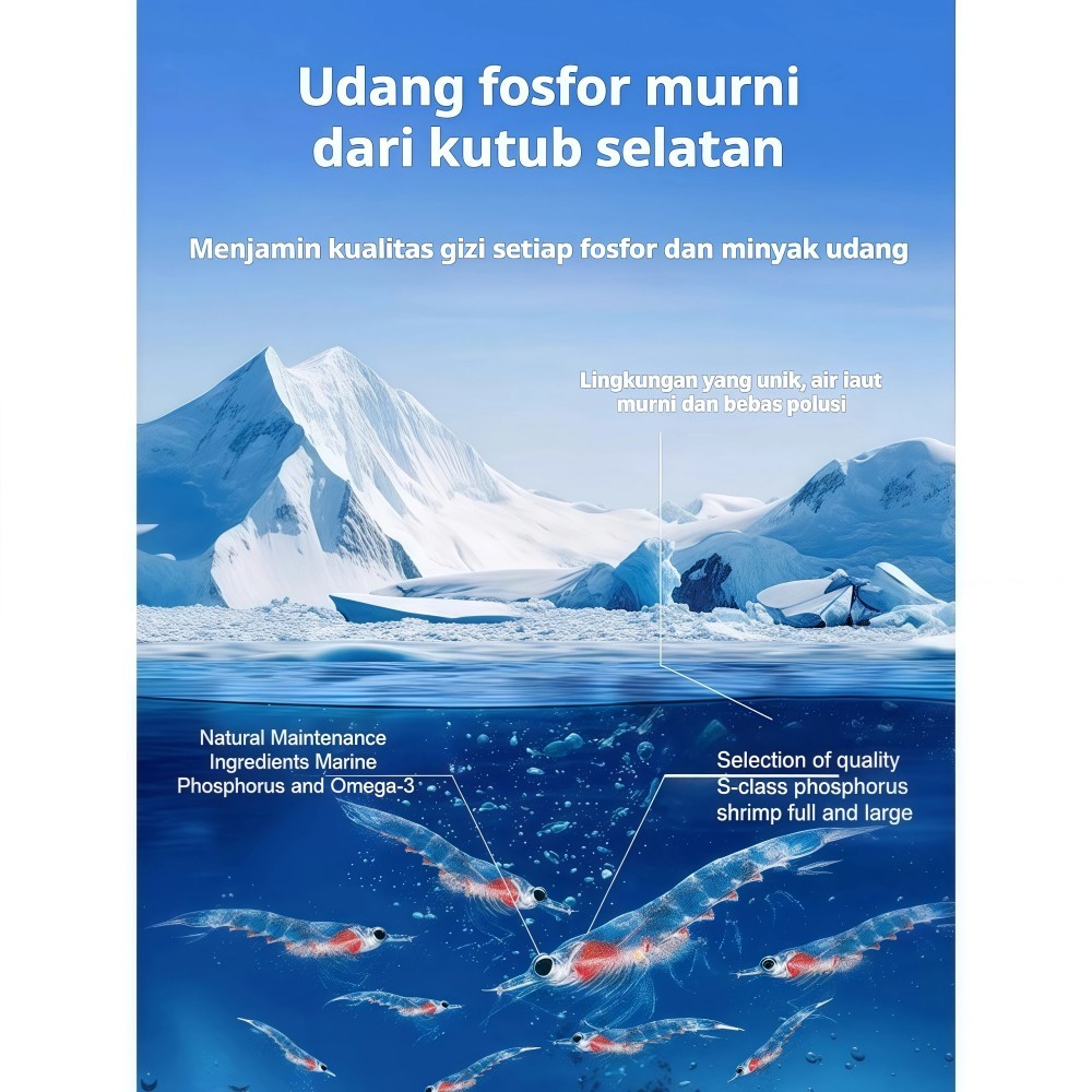  BdKeyi Antarctic Krill Oil Capsules 