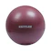 Maharupa Gatra KETTLER Exercise Ball 1