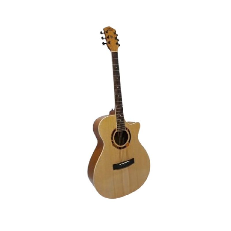 JR.Sanjaya Gitar Akustik Dream 01 1