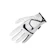 Holi Karya Sakti ZUNA Gloves Golf Premium Men Birdie 1