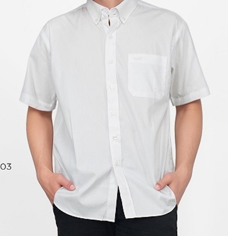 Crocodile Male Shirt 2