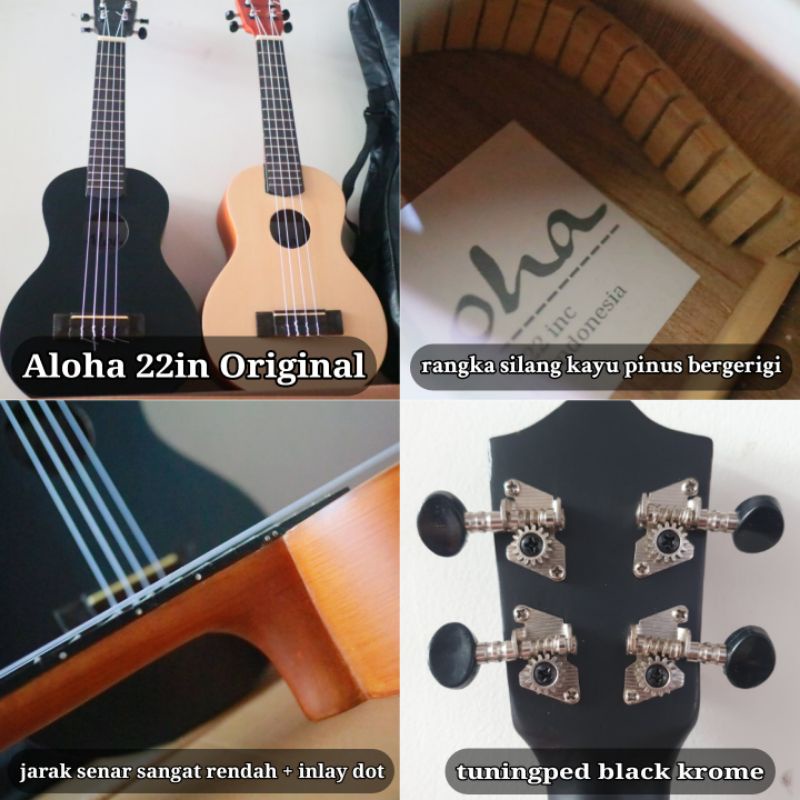 Ukulele Concert 4