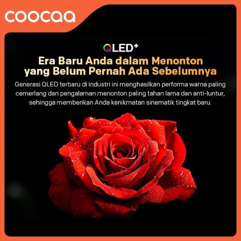 Coocaa 2K QLED TV 43 Inch Q55 + Speaker SS110 2