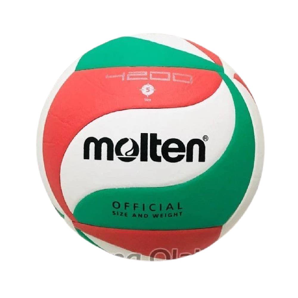 Molten Bola Voli Approved by FIVB ｜ 4200