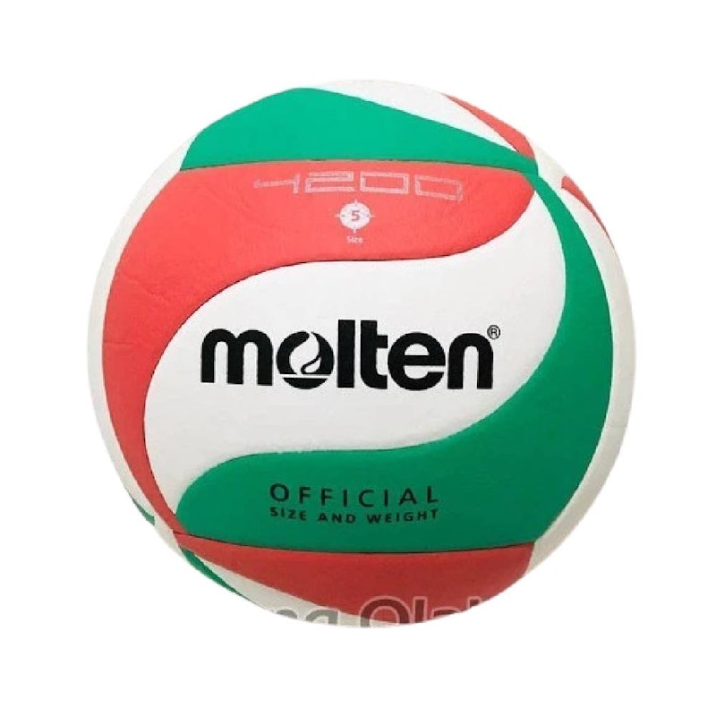 Molten Bola Voli Approved by FIVB 4200