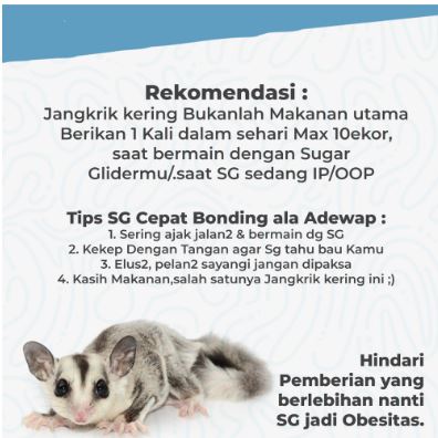 Adewap Dried Cricket 3