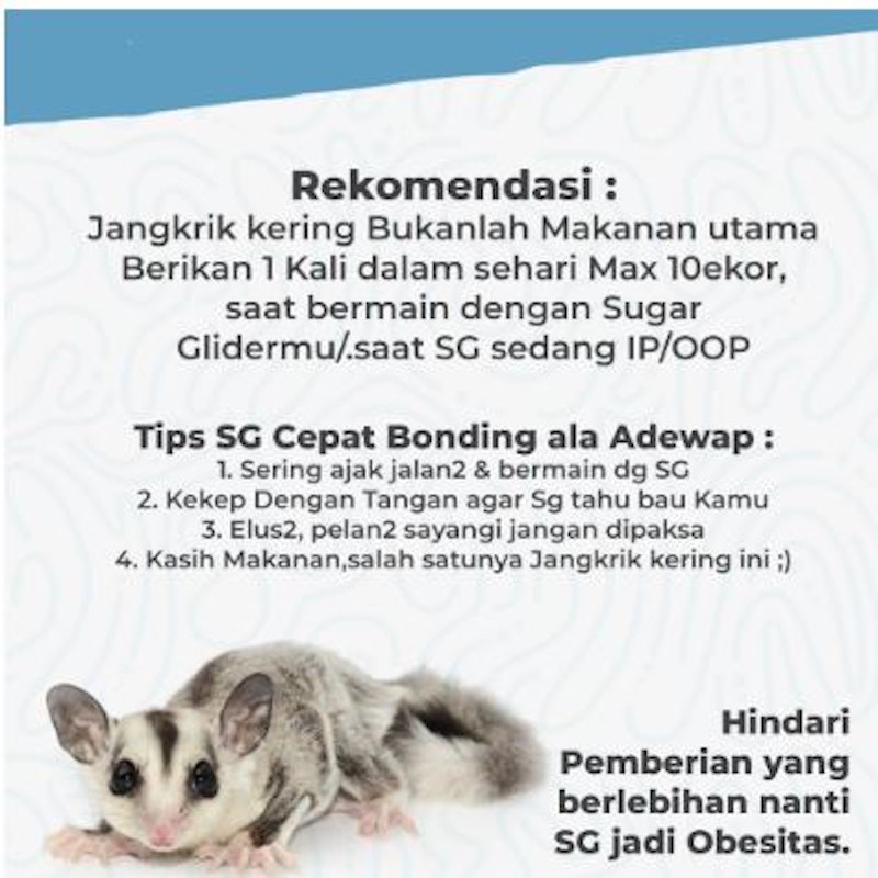 Adewap Dried Cricket 3
