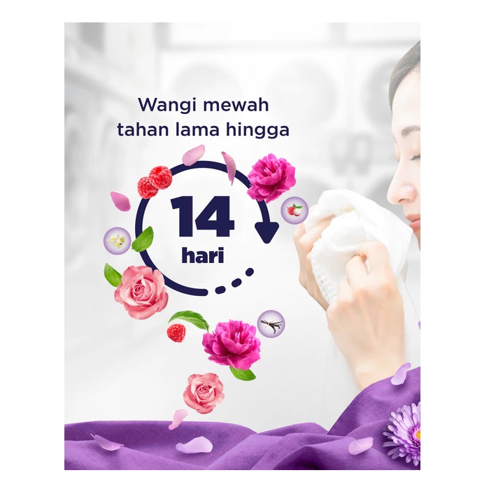 Unilever Indonesia Molto Parfum Laundry Professional Purple Delight 
