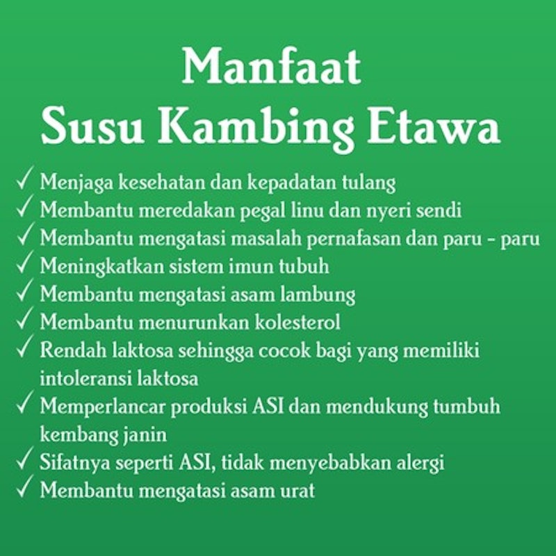 AMH Susu Kambing Etawa Original 4