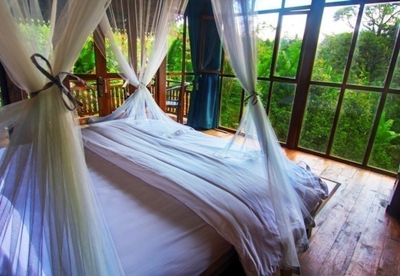 Bali Jungle Camping 3