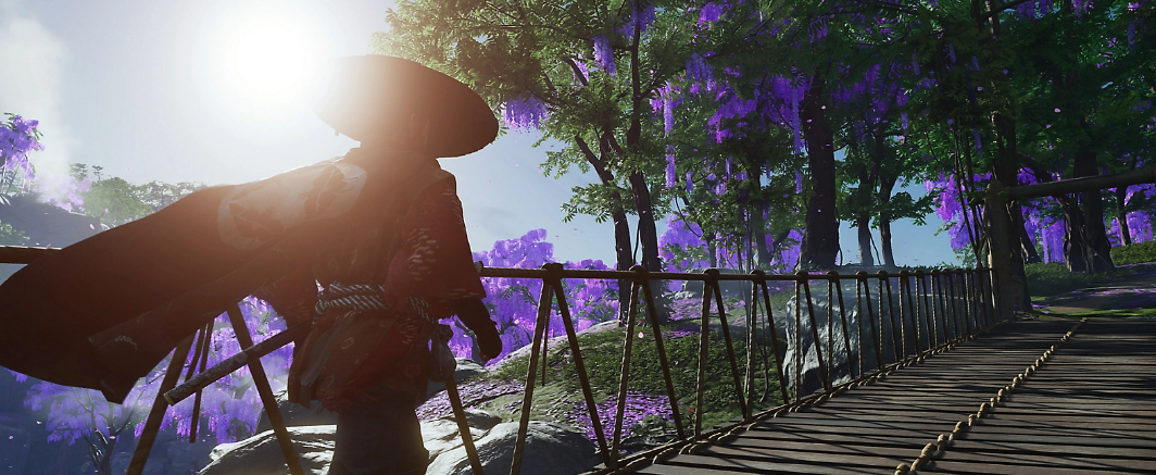 Sony Interactive Entertainment Ghost of Tsushima Director's Cut