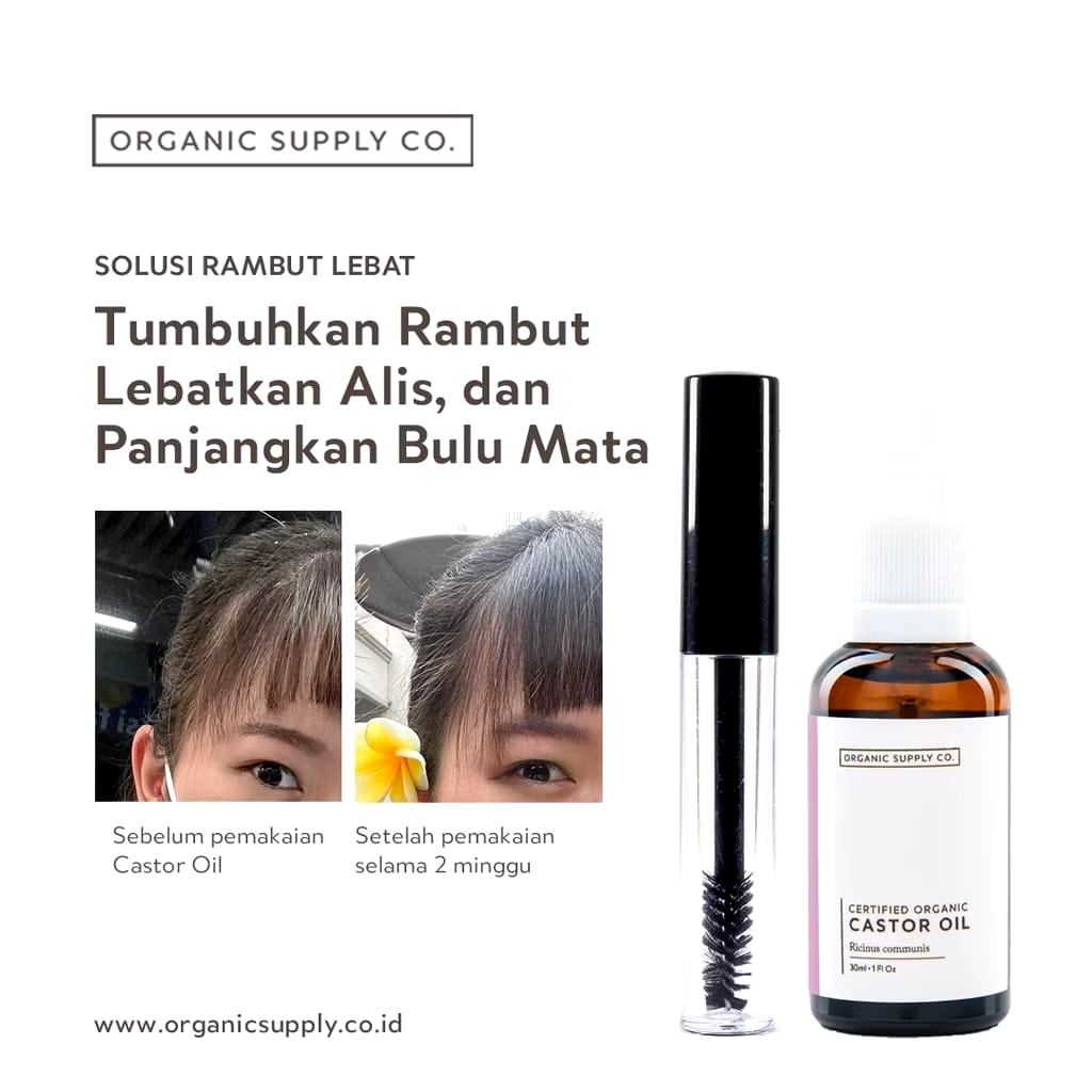 Natural Supply Indonesia ORGANIC SUPPLY CO. Castor Oil