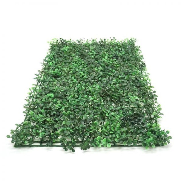 Panel Tanaman Vertikal Daun Dollar 3
