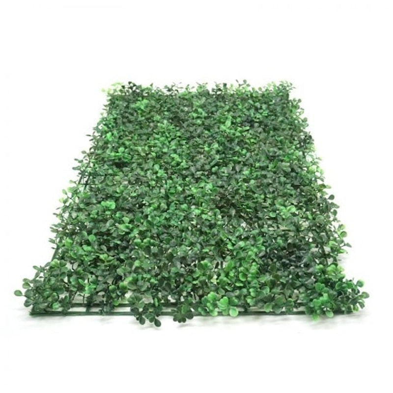 Panel Tanaman Vertikal Daun Dollar 3