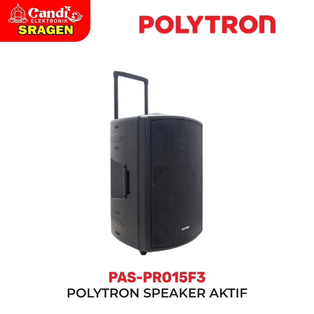 POLYTRON Polytron Professional Salon Active Speaker 15 inch PAS PRO15F3