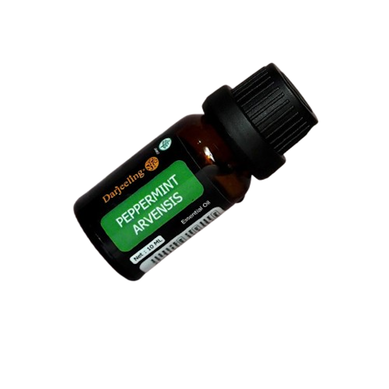 Darjeeling Peppermint Arvensis Essential Oil 1