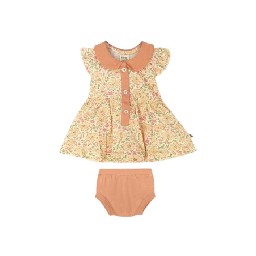  Bohopanna Ruffle Collar Dress 