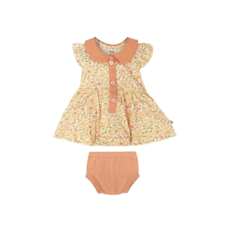 Bohopanna Ruffle Collar Dress 1
