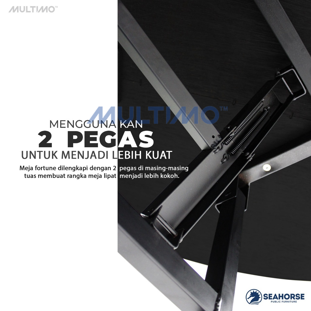 Multimo Seahorse Fortune 120 Padded