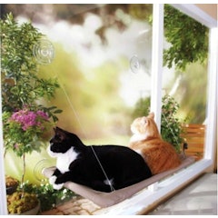 Window Mounted Cat Bed