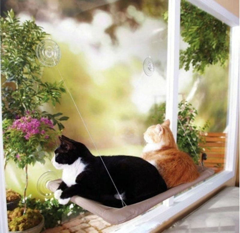 Window Mounted Cat Bed 1