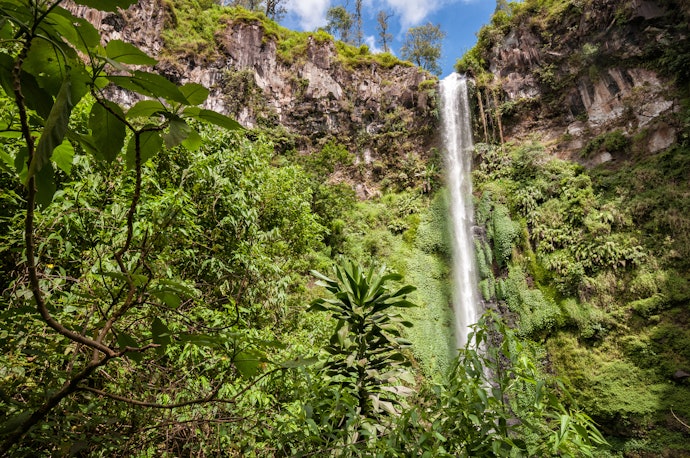 Supaya hemat, cari tempat wisata di Malang yang ekonomis seperti Air Terjun Coban Rondo