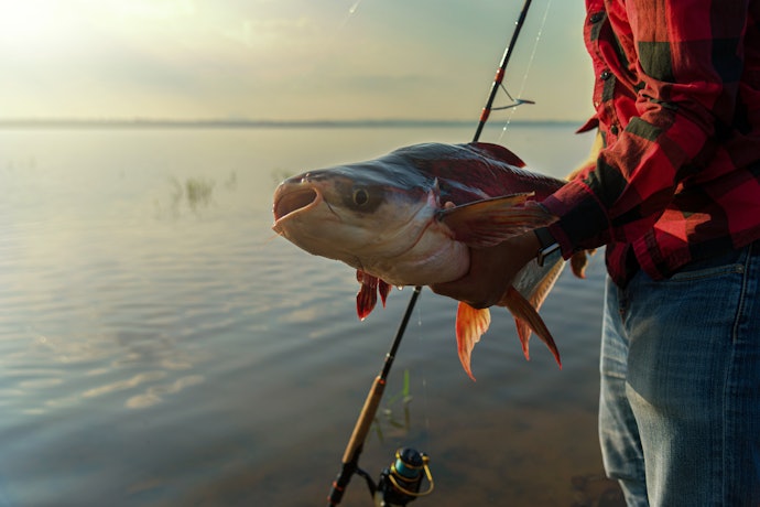 Pilih rod power ultralight, medium, atau heavy sesuai dengan bobot ikan