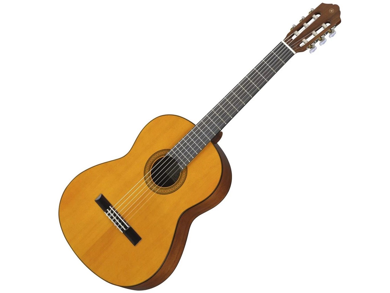 10 Rekomendasi Gitar Terbaik 2025