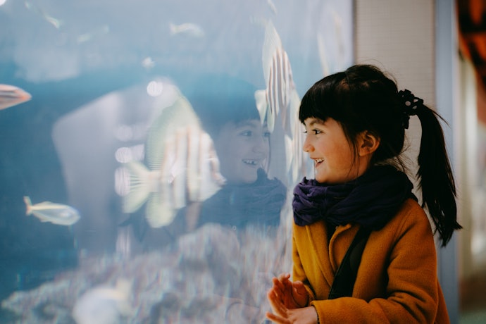 Bagi Anda yang suka dengan tempat wisata Instagrammable, pilih Museum MACAN atau Jakarta Aquarium di Jakarta Barat