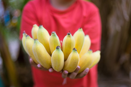 Pertimbangkan produk dari petani lokal