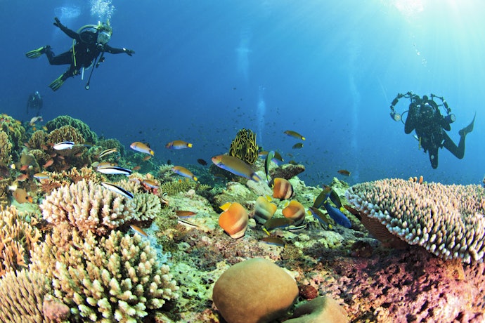 Jika Anda ingin menghabiskan waktu 4 hari 3 malam, pilih paket tour Komodo Dive Liveaboard Open Trip