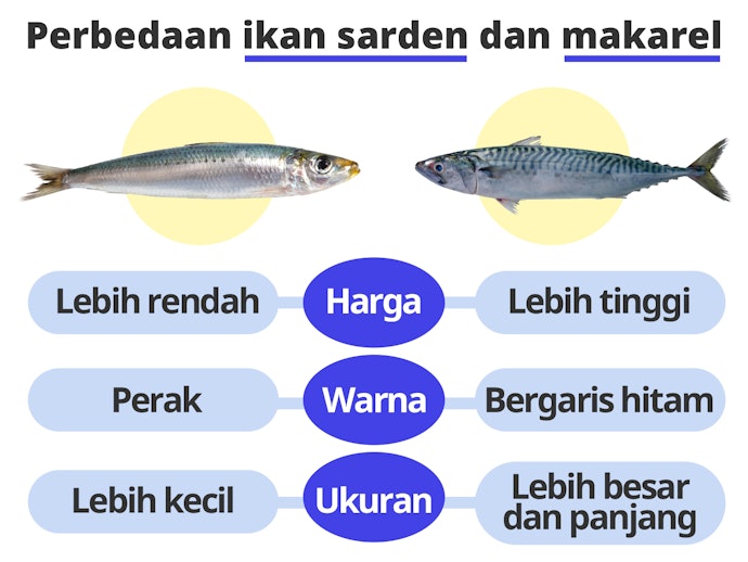 Ketahui perbedaan antara ikan sarden dan ikan makerel
