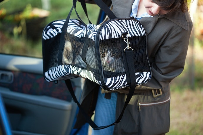Cek pet carrier berbahan kain karena bobotnya ringan dan bisa dilipat