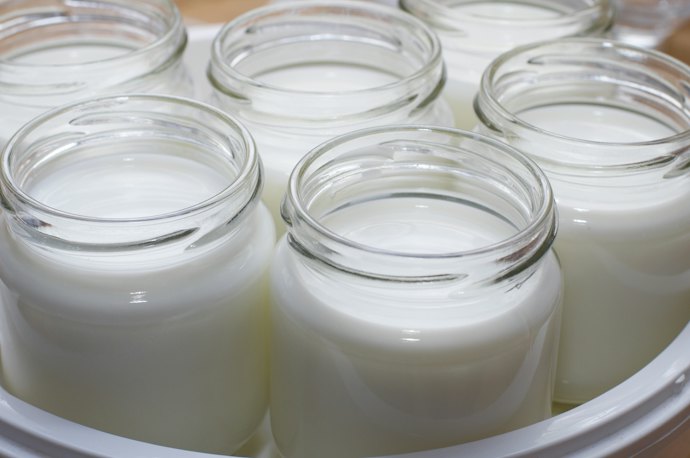 Cara membuat yoghurt dengan bibit yoghurt