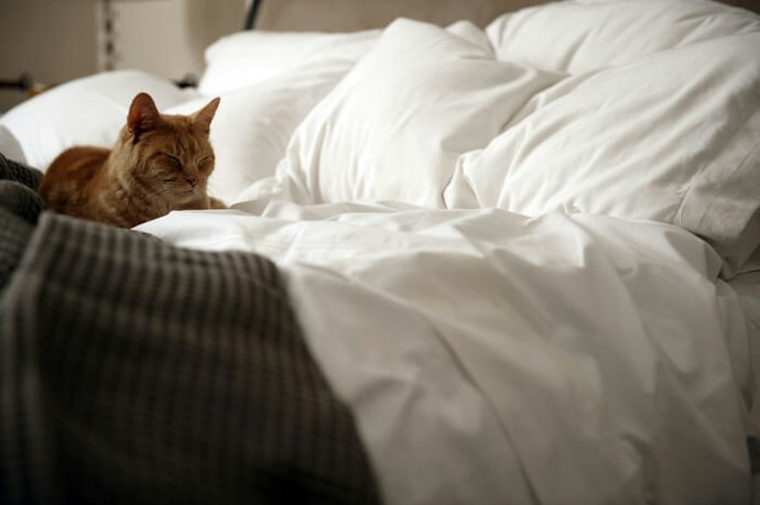 Pertimbangkan bahan tempat tidur yang lembut dan empuk