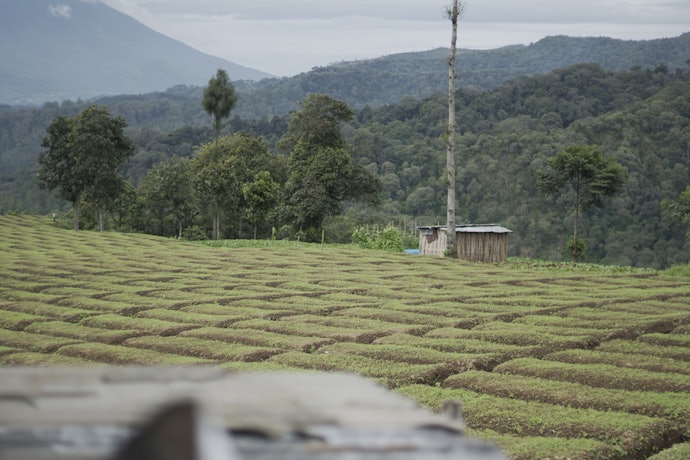 Pilih villa dengan view yang menarik