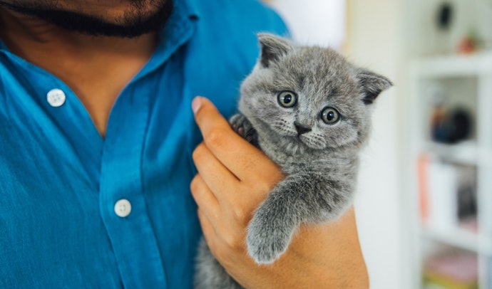 Sesuaikan pemberian obat dengan usia dan bobot kucing