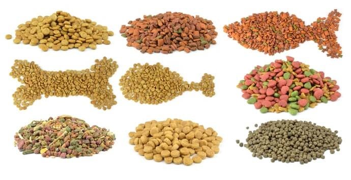 makanan dry food kucing