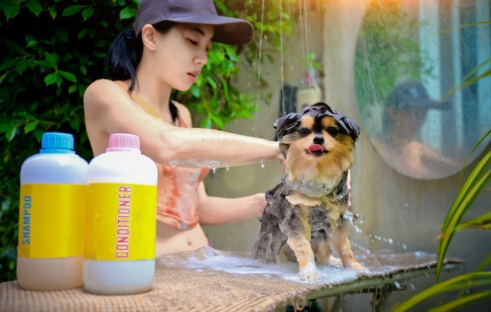 Utamakan sampo nondetergen yang lebih aman di kulit, khususnya untuk anjing dengan kulit sensitif