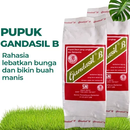 Untuk tanaman dewasa di fase generatif, pilih pupuk NPK dengan rasio P dan K lebih tinggi, seperti 6-20-30