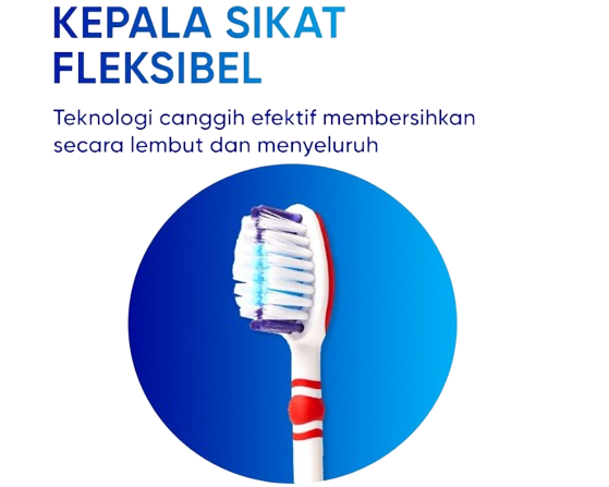Prioritaskan sikat gigi dengan bentuk kepala sikat yang ujungnya mengerucut