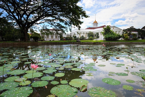 Datangi restoran di kota Bogor untuk merasakan beragam menu masakan Sunda