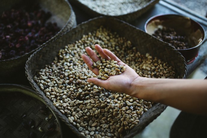 Periksalah kondisi biji kopi