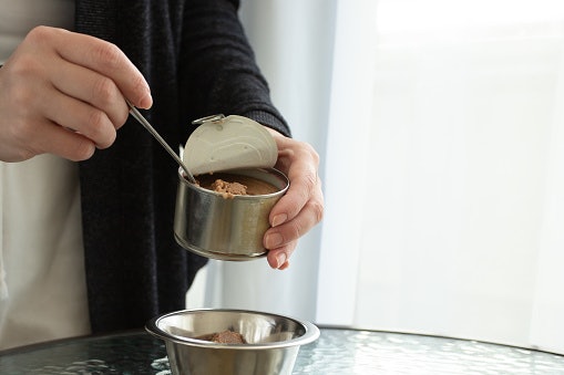 Kemasan saset atau kaleng? Pastikan juga Anda menyimpannya dengan tepat karena dog food basah lebih mudah rusak