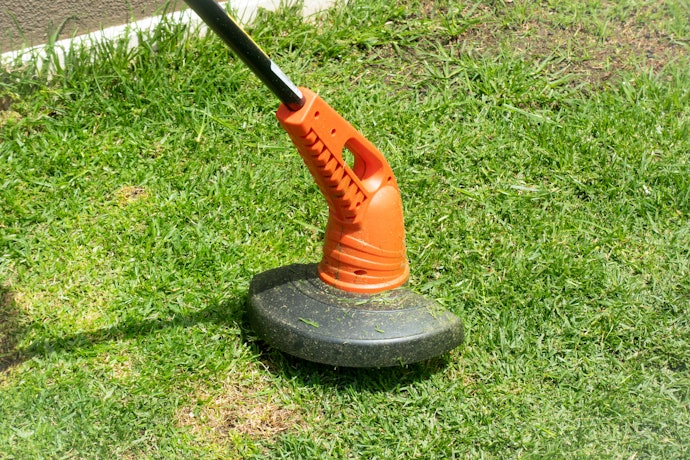 Pertimbangkan pemotong rumput elektrik agar lebih hemat tenaga